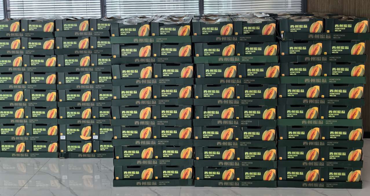 太阳GG·(中国区)官方网站